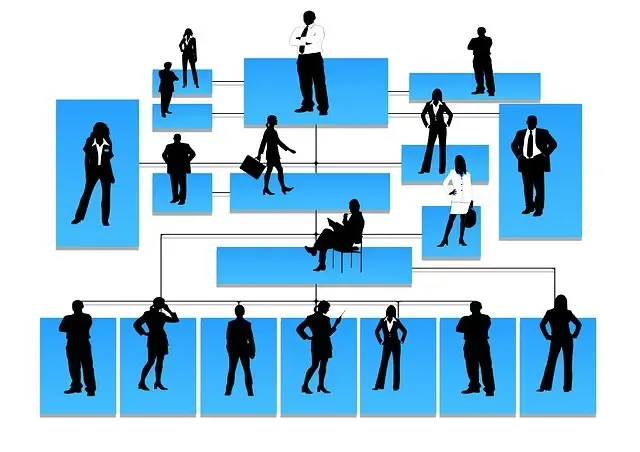 Supply Chain Roles & Responsibilities